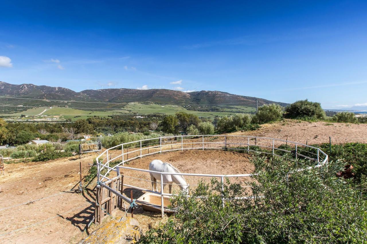 Casita Rural En Centro De Hipica Tarifa Exterior photo