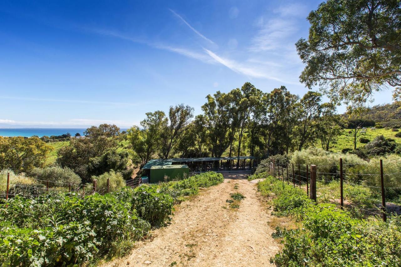 Casita Rural En Centro De Hipica Tarifa Exterior photo